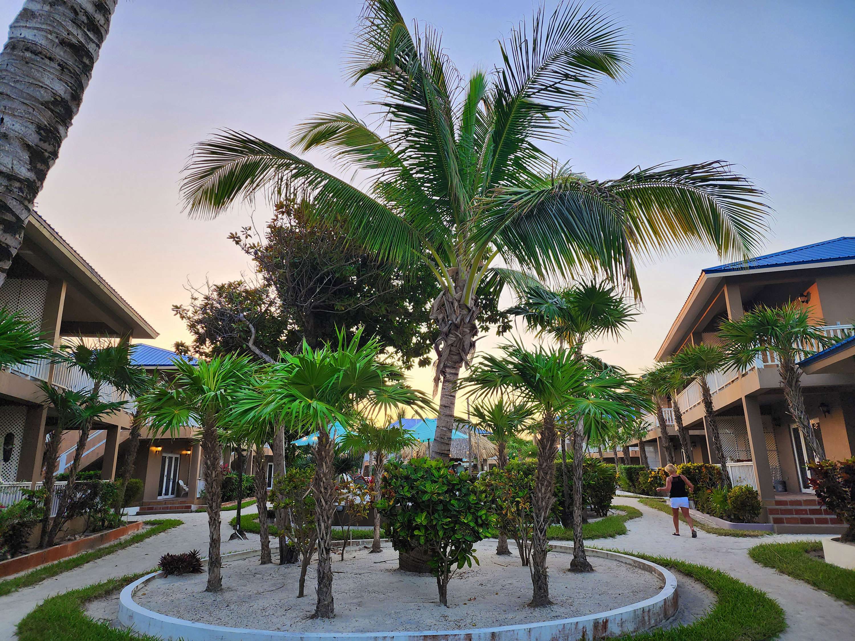 International Traveler Visit Hotels in Belize