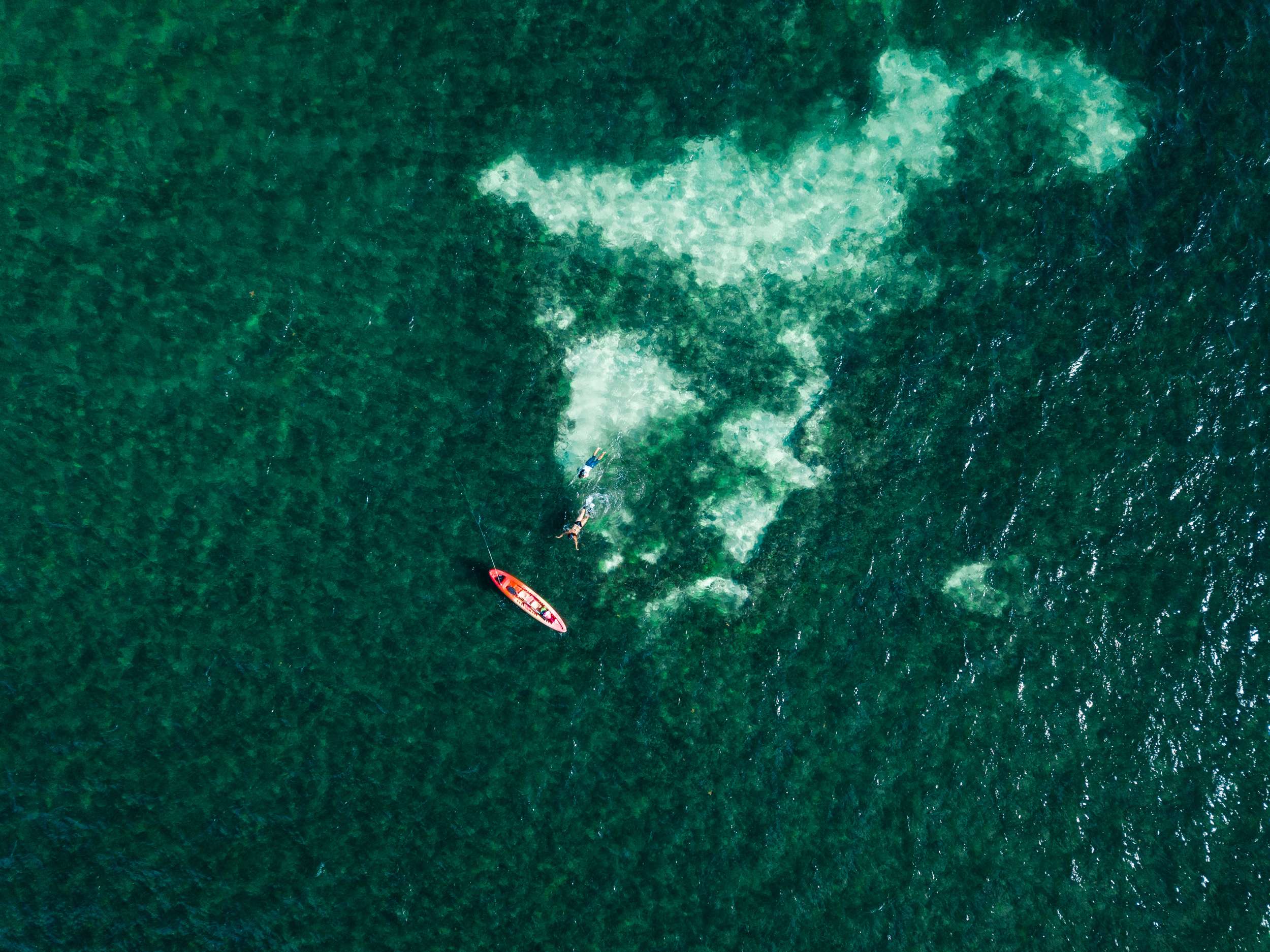 Lobster fest San Pedro Ambergris Caye